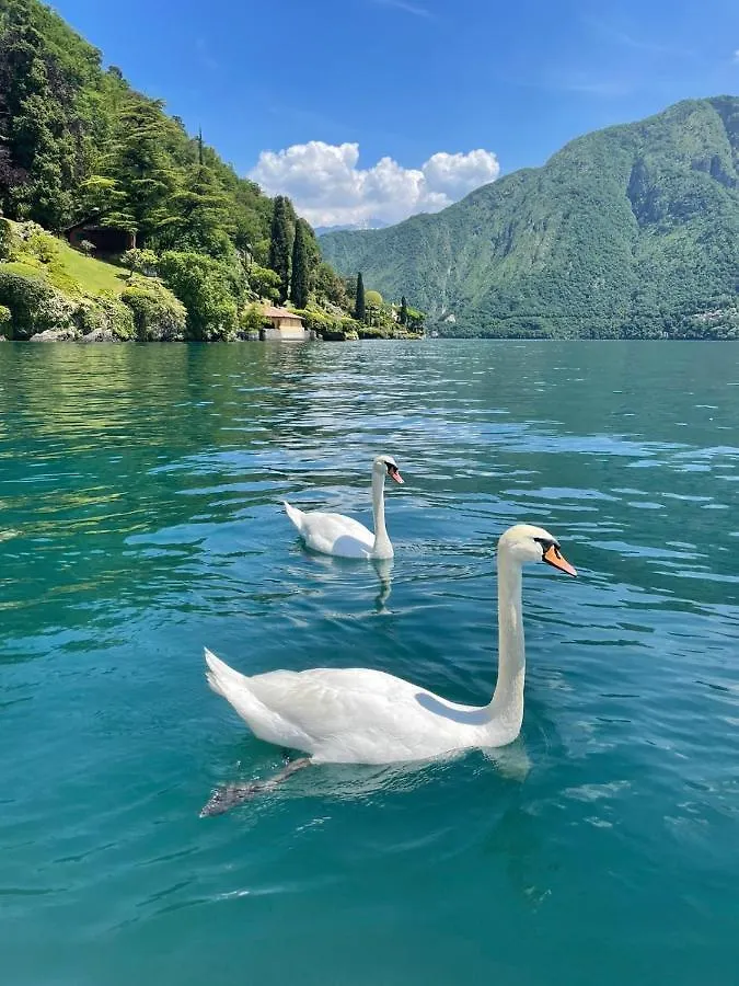 Casacamelia 35, 3 Bdrm With View Lake Como Apartment Acquaseria 0*,